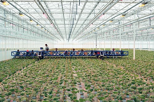The Mothership machine spanning a full greenhouse bay
