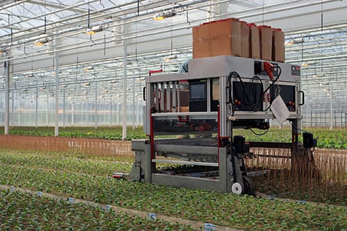 Self-propelled machine inserting bamboo stakes