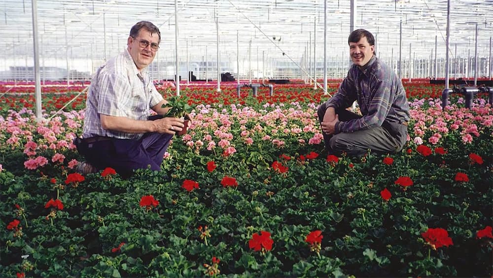 Archival photo of Jack Benne and Leo Benne among flowering plants in a Bevo greenhouse